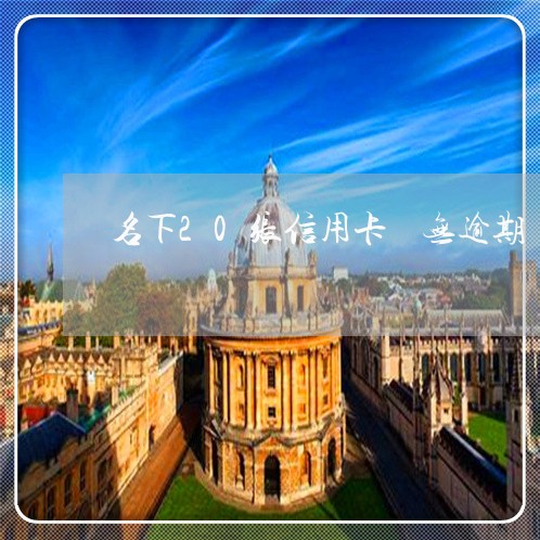 名下20张信用卡 无逾期 名下20张信用卡 无逾期